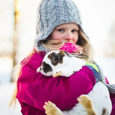 Villa Aurora Sauna Hideaway Tervola