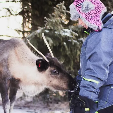 Villa Beautiful Rural Experience With Reindeer Tervola