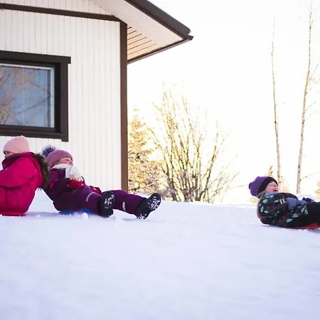 Aurora Sauna Hideaway Tervola