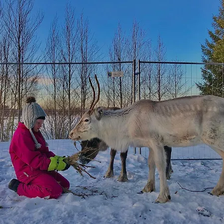 Beautiful Rural Experience With Reindeer Tervola