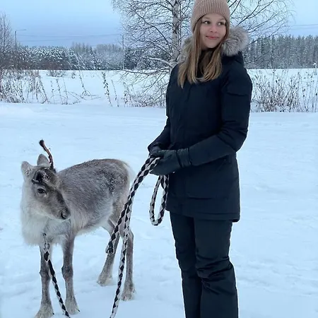 Beautiful Rural Experience With Reindeer