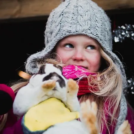 Beautiful Rural Experience With Reindeer Tervola