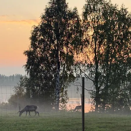 Aurora Sauna Hideaway * Tervola