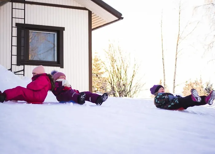 Aurora Sauna Hideaway Tervola