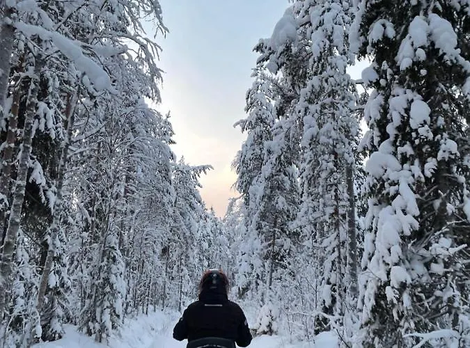 Huvilat Aurora Sauna Hideaway