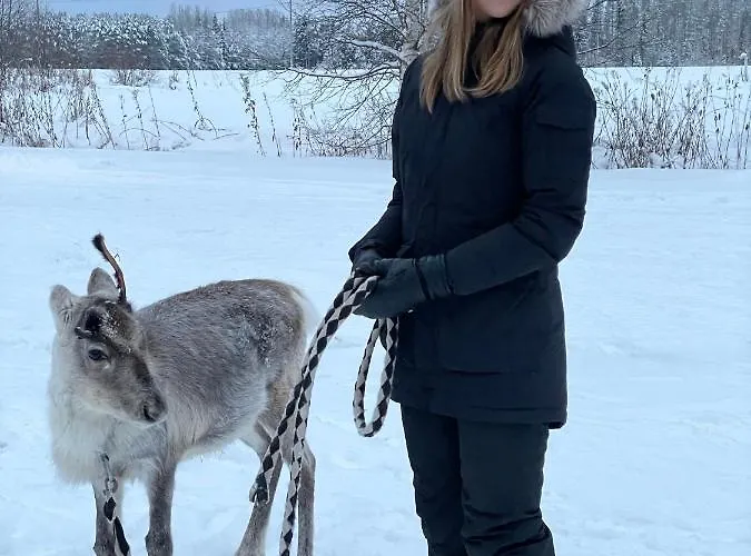 Aurora Sauna Hideaway