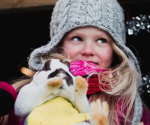 Aurora Sauna Hideaway Tervola