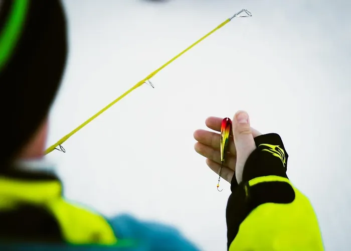 Huvilat Aurora Sauna Hideaway