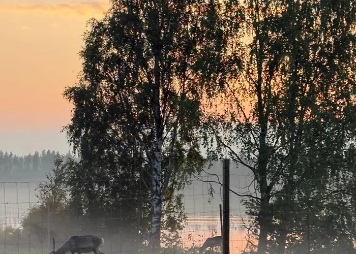 Aurora Sauna Hideaway * Tervola